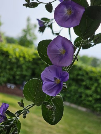 20230524_165101.jpg