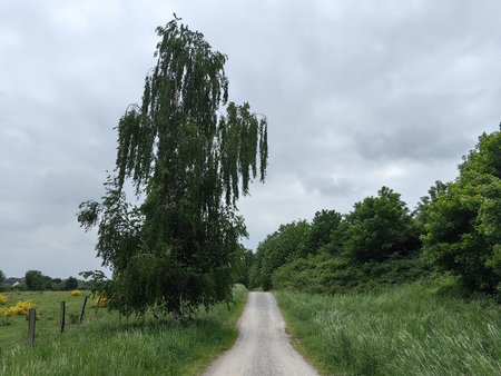 IMG_20230523_145158.jpg