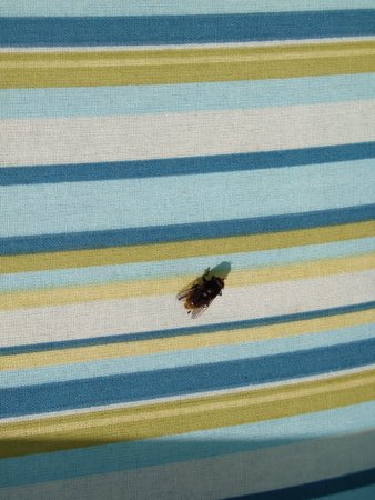 20230526_155151.JPG