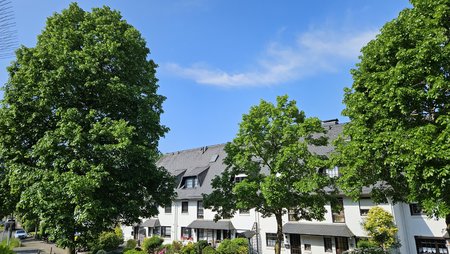 s23-1.jpg