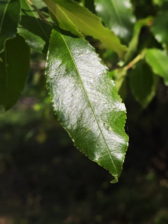 IMG_20230526_163950.jpg