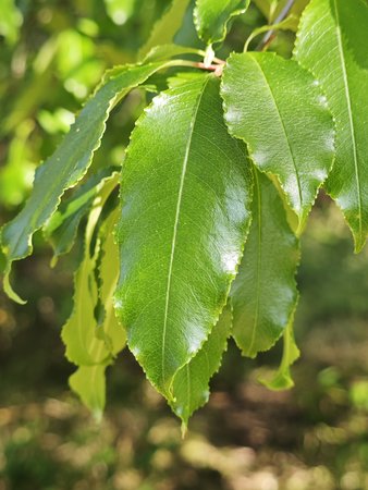 IMG_20230526_164005.jpg