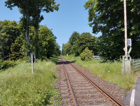 IMG_20230527_124753.jpg