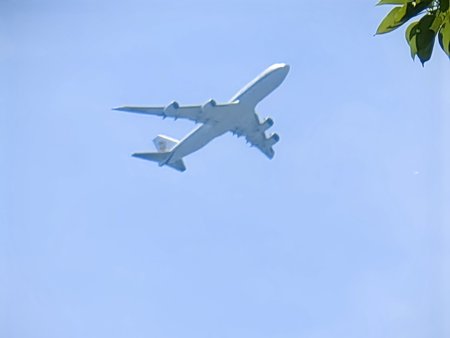 IMG_20230529_142946.jpg