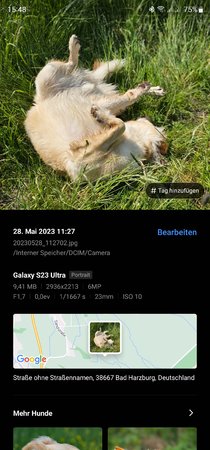 Screenshot_20230529_154807_Gallery.jpg