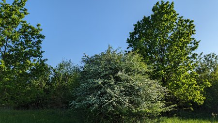 PXL_20230529_163210628.jpg