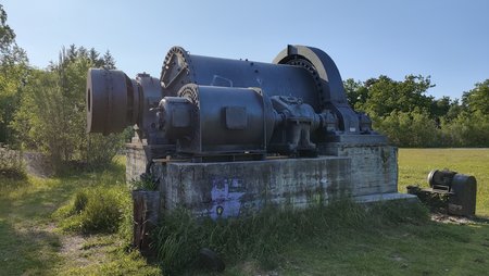 IMG_20230529_180545.jpg