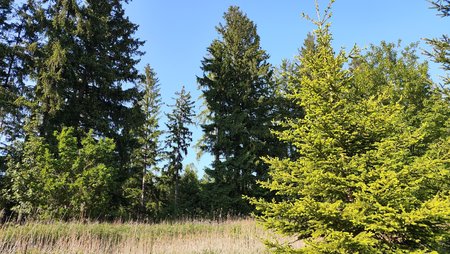 IMG_20230529_181143.jpg