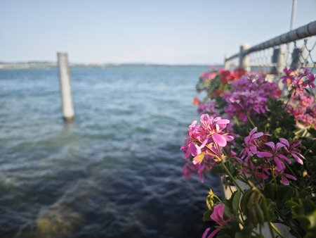 IMG_20230529_175213.jpg