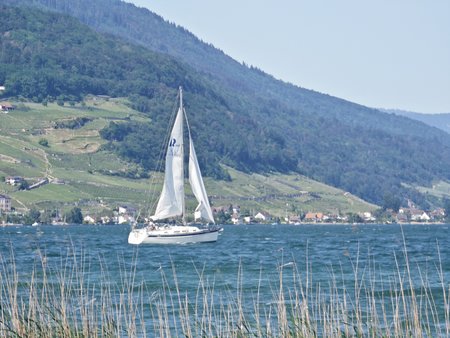 IMG_20230529_162617.jpg