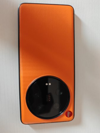 IMG_20230531_131035.jpg