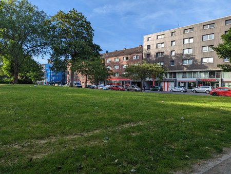 PXL_20230531_172155962.jpg