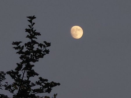 20230601_213900.JPG