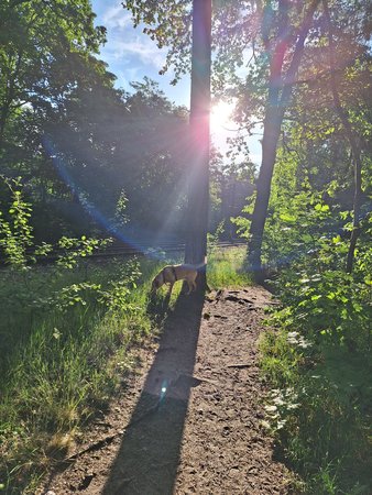 20230603_070958.jpg