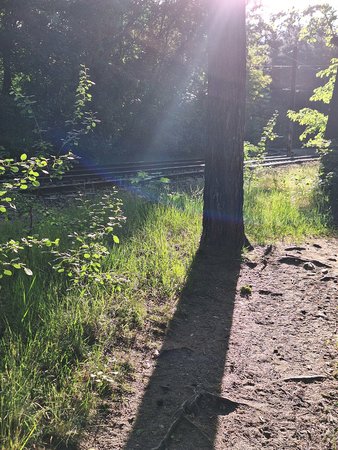 20230603_071002.jpg