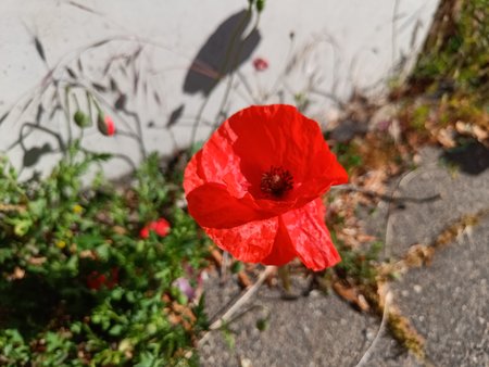 IMG20230603093936.jpg
