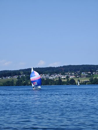 IMG20230603154734.jpg