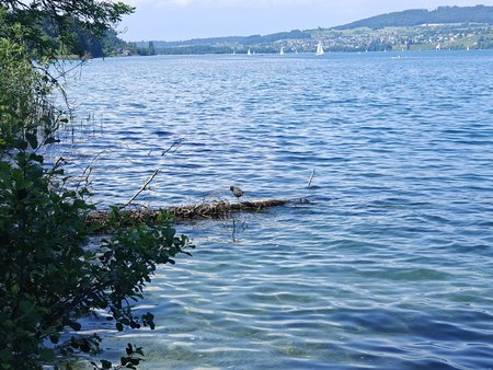 IMG20230603153248.jpg