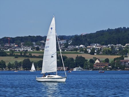 IMG_20230603_154308.jpg