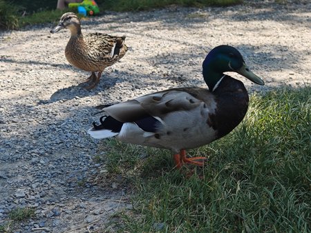IMG_20230603_125239.jpg