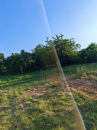 IMG_20230603_192913.jpg