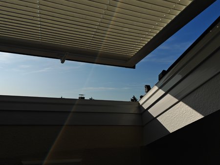 IMG_20230604_080443.jpg