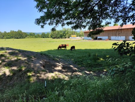 IMG_20230604_154518.jpg