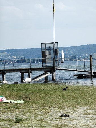 IMG_20230604_155643.jpg