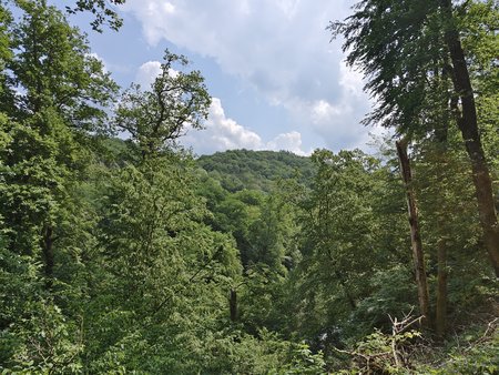 IMG_20230608_122400.jpg