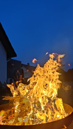 IMG_20230609_220511.jpg