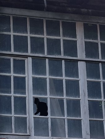 20230611_202103.jpg