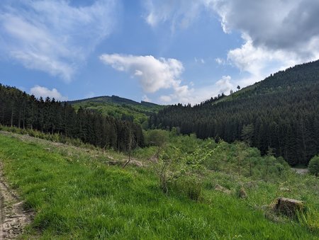 PXL_20230520_150102959.jpg
