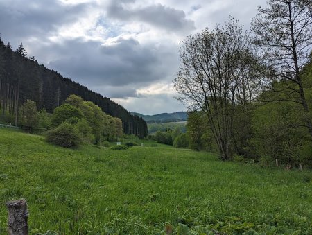 PXL_20230520_160426232.jpg