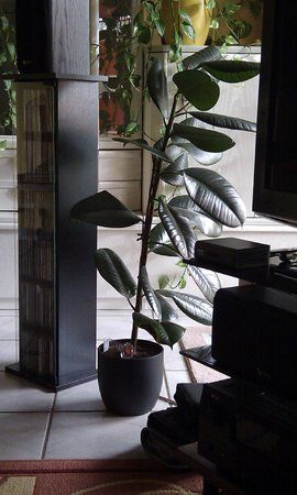 IMAG0023.jpg