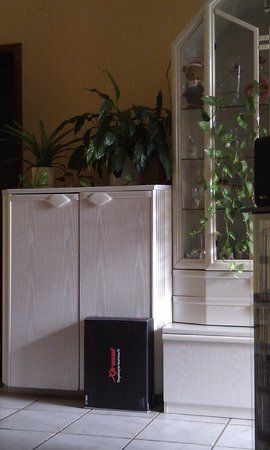 IMAG0025.jpg