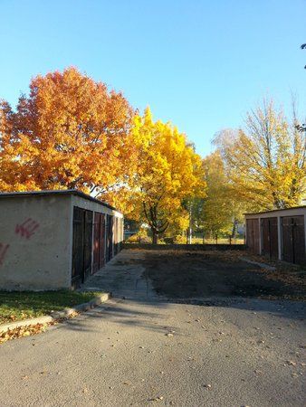 20121020_090656.jpg