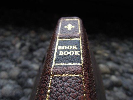 Galaxy_S3_BookBook_Case_Edge.jpg