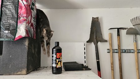 20230616_125631.jpg