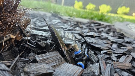 20230617_083534.jpg
