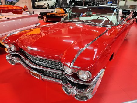 IMG_20221204_135047.jpg