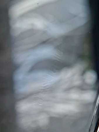 20230619_132526.jpg