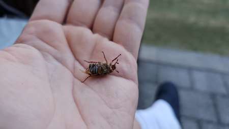 20230619_211309.jpg