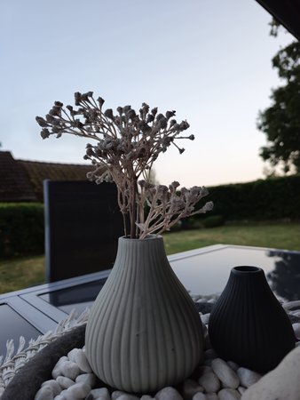 20230621_211442.jpg