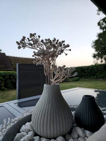 20230621_211447.jpg