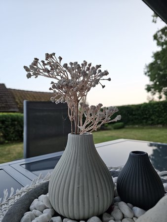 20230621_211454.jpg