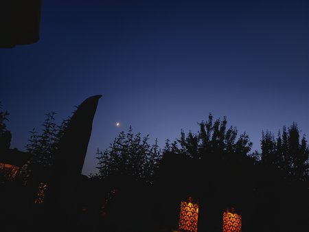 20230624_230100.jpg