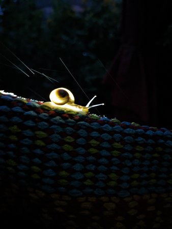 PXL_20230522_213359117.jpg