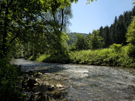20230619_121154.jpg