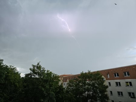 20230627_134444.jpg