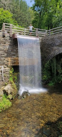 IMG_20230628_125026.jpg